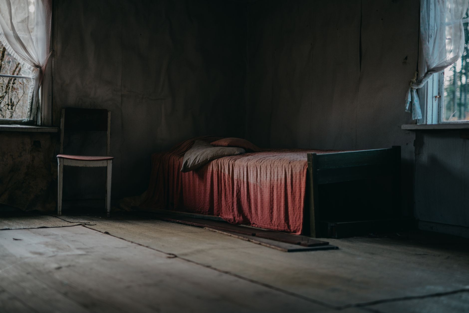 Traitement punaises de lit à Pontoise